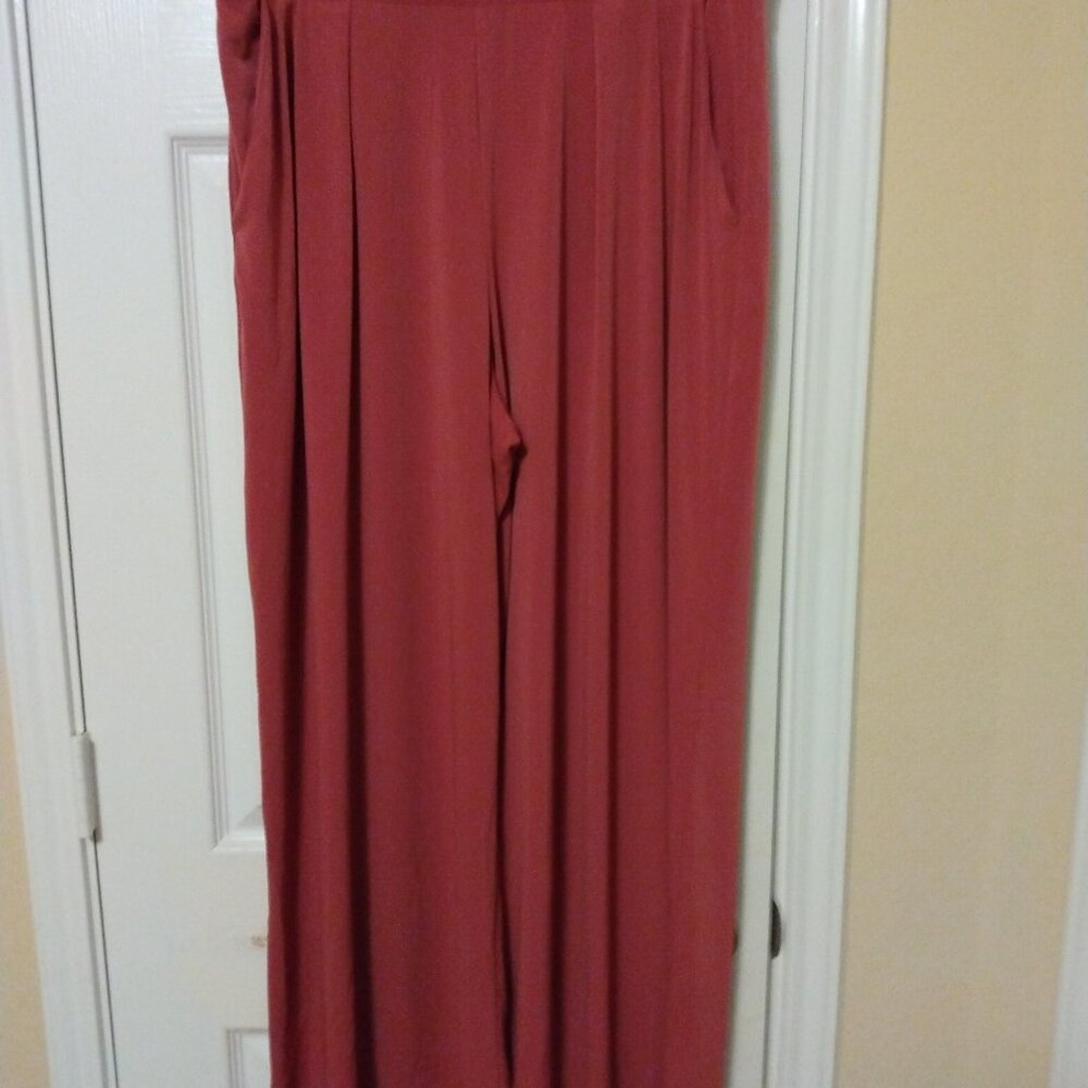 Express Wide leg Pants